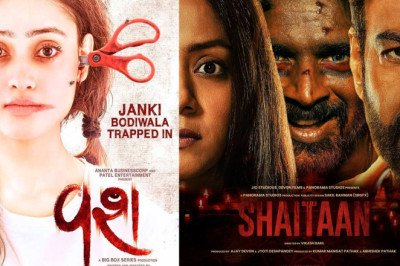 Vash: A Trailblazer for Gujarati Stories in Bollywood Remake Trend