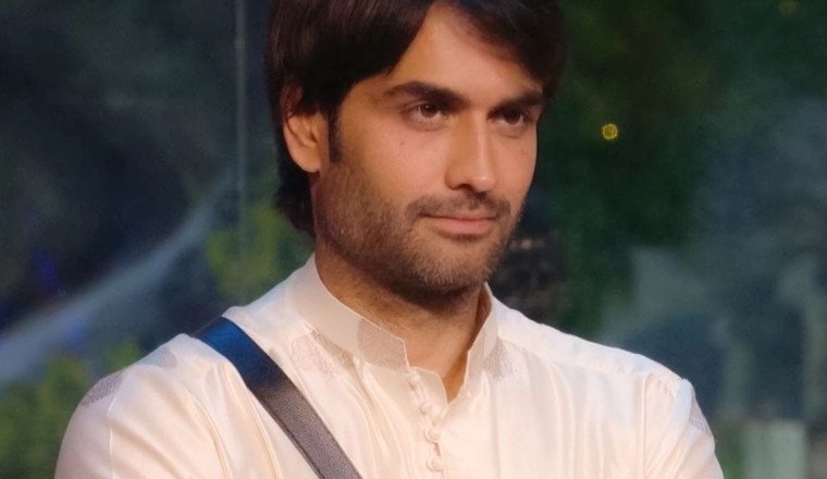 Vivian Dsena’s Bigg Boss 18 Entry Boosts TRPs, Fandom Proves Unstoppable