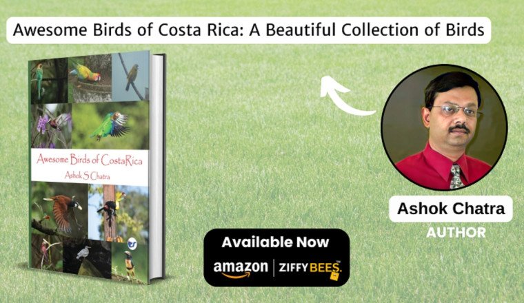 Awesome Birds of Costa Rica- A Celebration of Avian Wonders