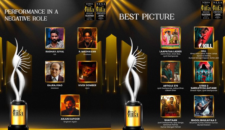 IIFA's Silver Jubilee Edition: Full List of 2025 Popular Category Nominations Unveiled!