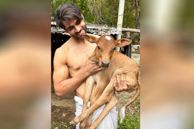 Srikant Dwivedi Opens Up About His Bond with Cows: “It’s Something I’ve Grown Up With”