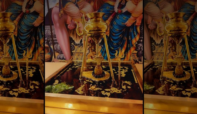 A Sacred Offering: Indore Hosts Rare Maha Rudrabhishek with Mustard Oil at Bijalpur Dham